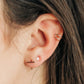 Earring Of The Month - 1 Year Prepaid Subscription